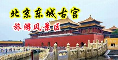 插逼网123中国北京-东城古宫旅游风景区