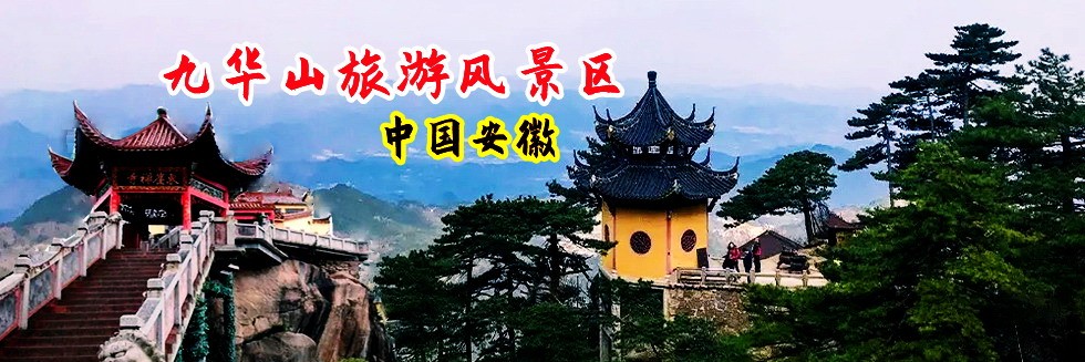 什么枰的鸡巴操逼