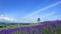 插美女逼逼日本一地6日游  境外旅游 6880元/人