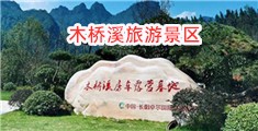 大黑鸡巴操B片