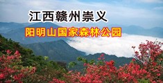 鸡巴操的骚逼好爽视频